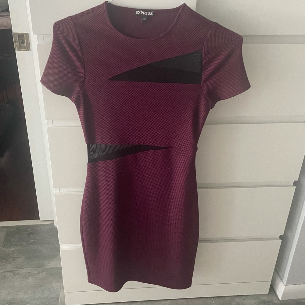 Express form fitting dress.